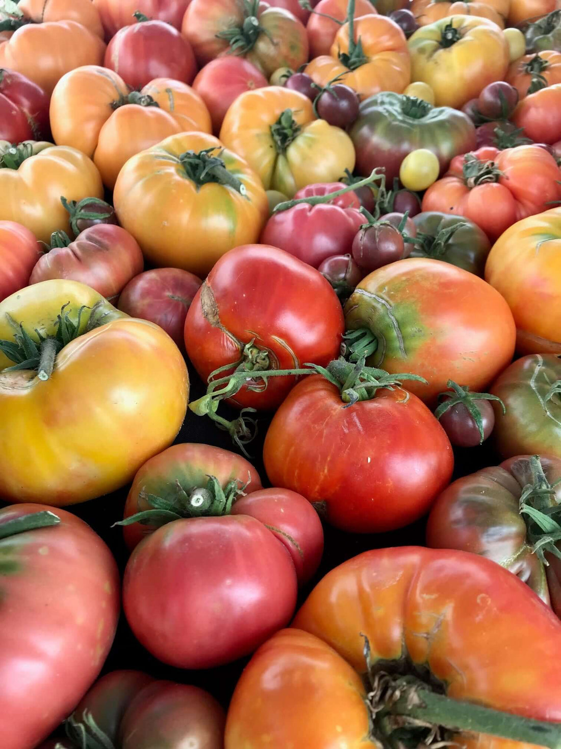 Retiring from Farmers Market