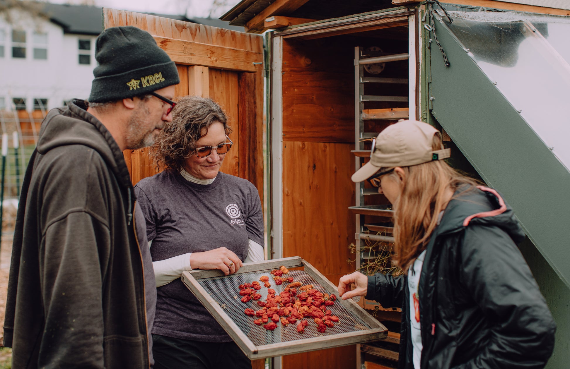 The owners of Solstice Spices checking the habanero peppers in the solar dehydrator with their farming friend.