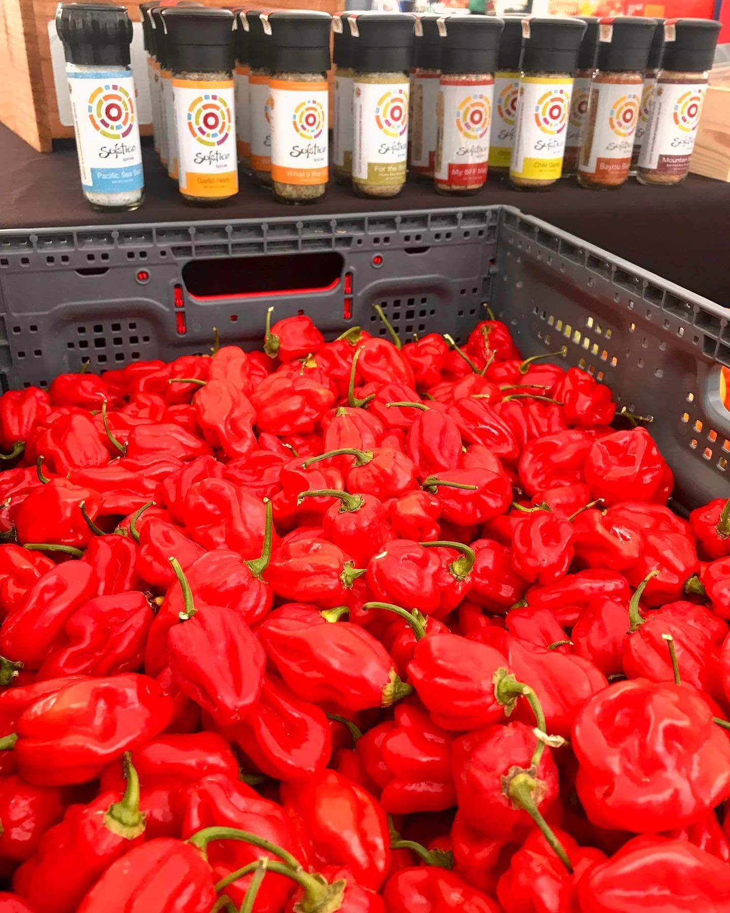 A plastic crate full of red Habanero peppers and a shelf full of Solstice Spices grinder jars.